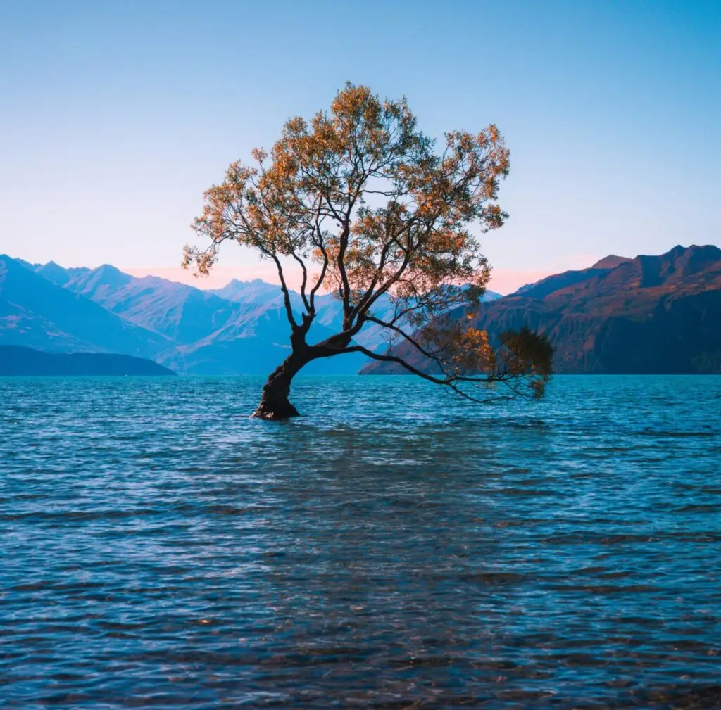 Mindful Strength Training: Cultivating Focus and Consistency for Optimal Results