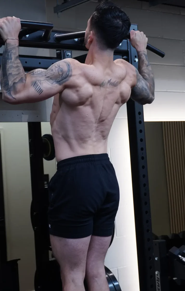 Beginner Push/Pull/Legs Workout Program (4 Days a Week) - pull up picture