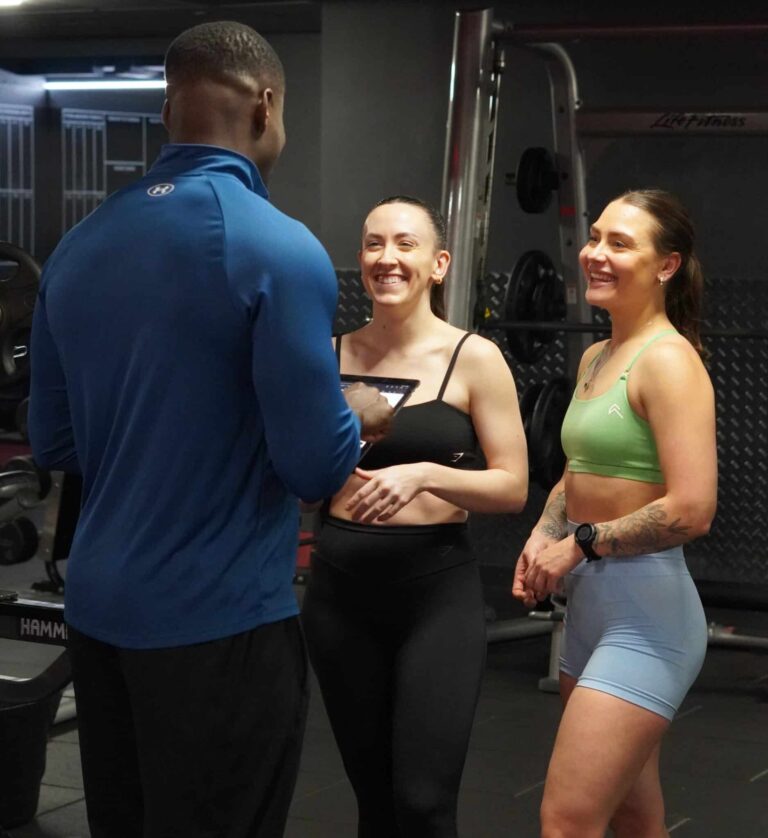 best push/pull/legs workout program